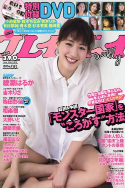 英雄使命电视剧全集